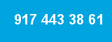 917 443 38 61
